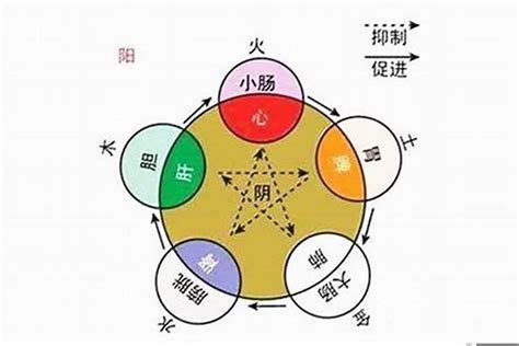 五行喜木火|怎么看自己的八字属性？